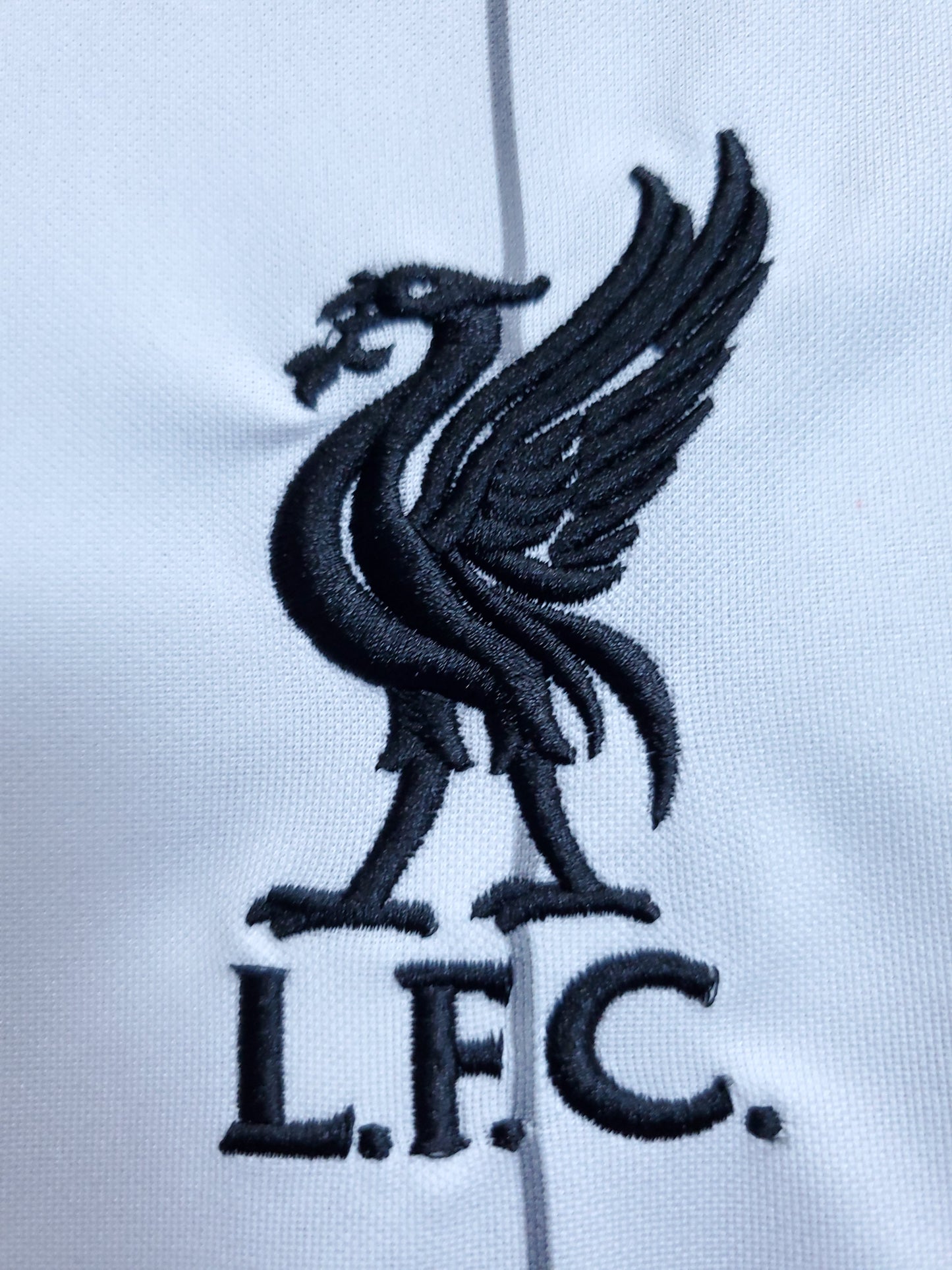 Liverpool Training Jersey